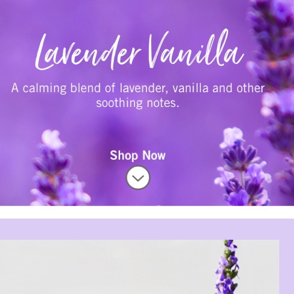 💜 2-pc Set “Lavender & Vanilla” BBW Aromatherapy Body Wash + Scrub, Full Sz NWT - Picture 9 of 12